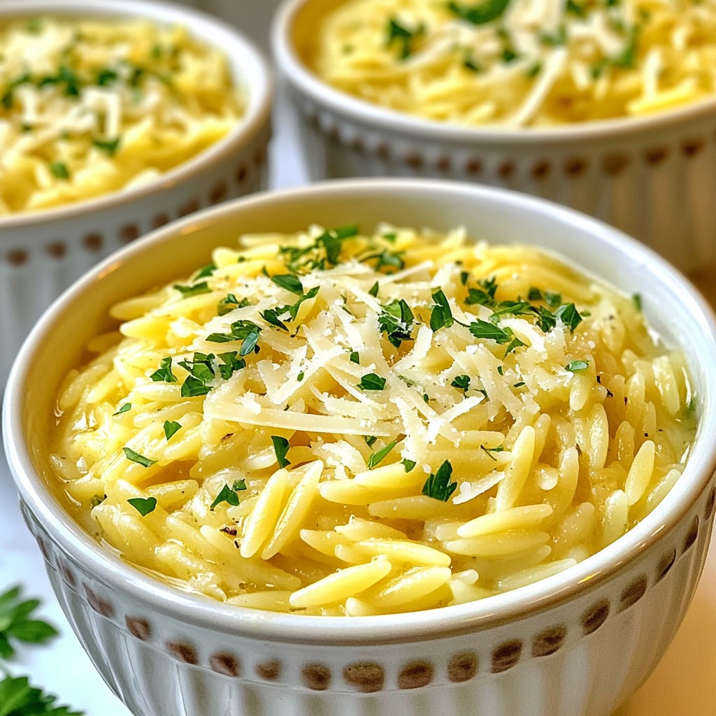 Creamy Garlic Parmesan Orzo Rich and Flavorful Dish